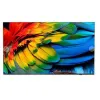 Smart-TV Philips 58HFL6214U/12