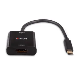 USB Adaptor LINDY 21 cm