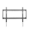 Seinaklamber Aisens WT100F-067 100"