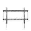 Seinaklamber Aisens WT100F-067 100"