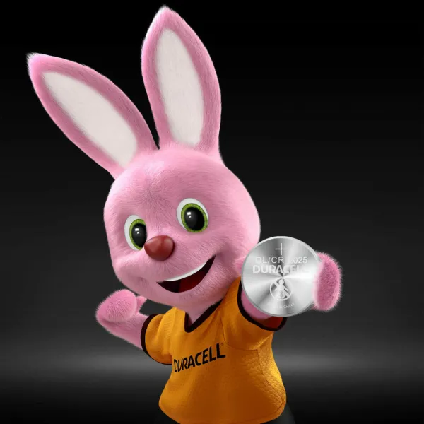 Baterijos DURACELL 3V (10 vnt.)