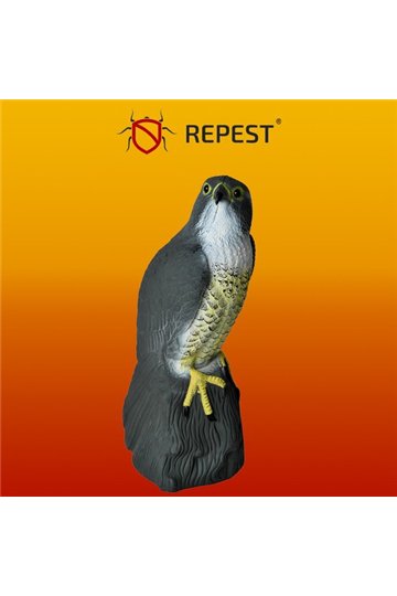 Linnupeleti - pistrik