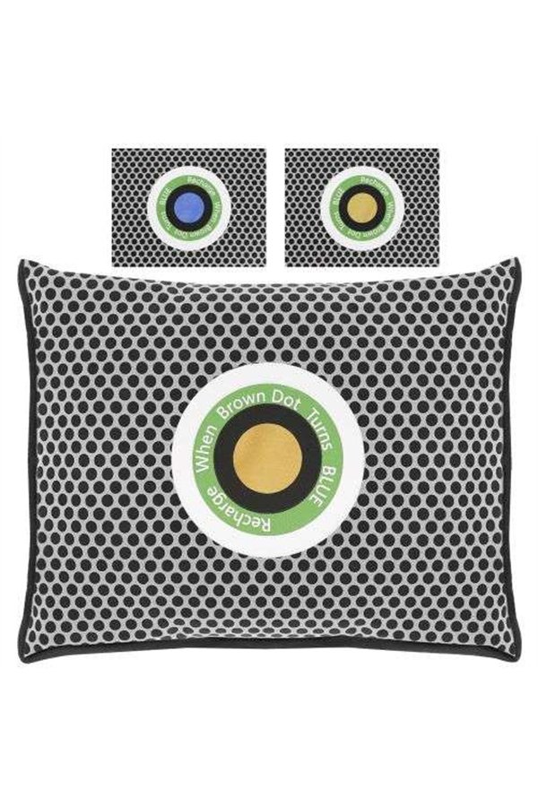 Dehumidifier - moisture absorber for car