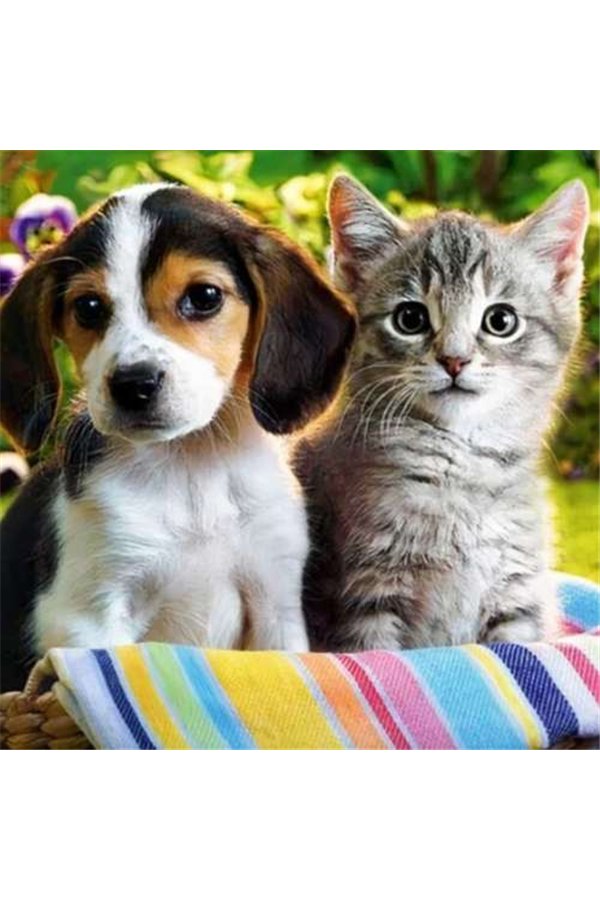 Dimanta izšūšanas mozaīka H16215