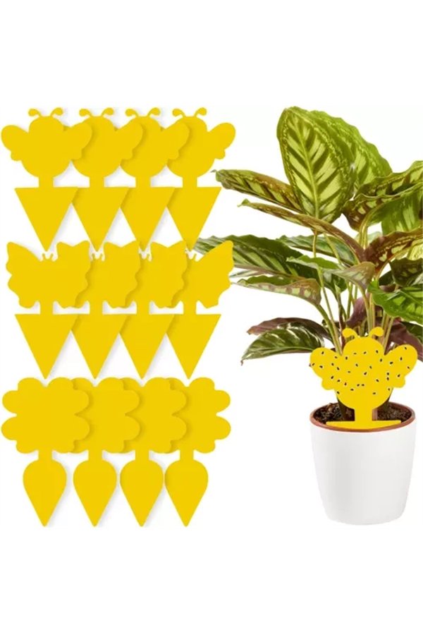 Putukaliim - 12 tk. Repest 19053