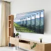 TV laikiklis MacLean MC-422 43" 100" 120 kg