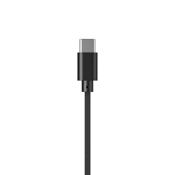 Ausinės su mikrofonu Havit E336C Juoda