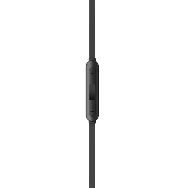 Ausinės su mikrofonu Havit E336C Juoda