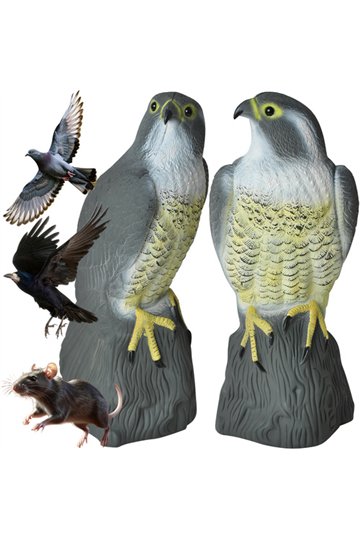 Linnupeleti - pistrik 23421