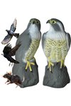 Bird scarer - falcon 23421