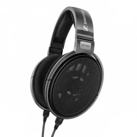 On-Ear- kuulokkeet Sennheiser HD 650 Titaani