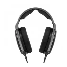 On-Ear- kuulokkeet Sennheiser HD 650 Titaani