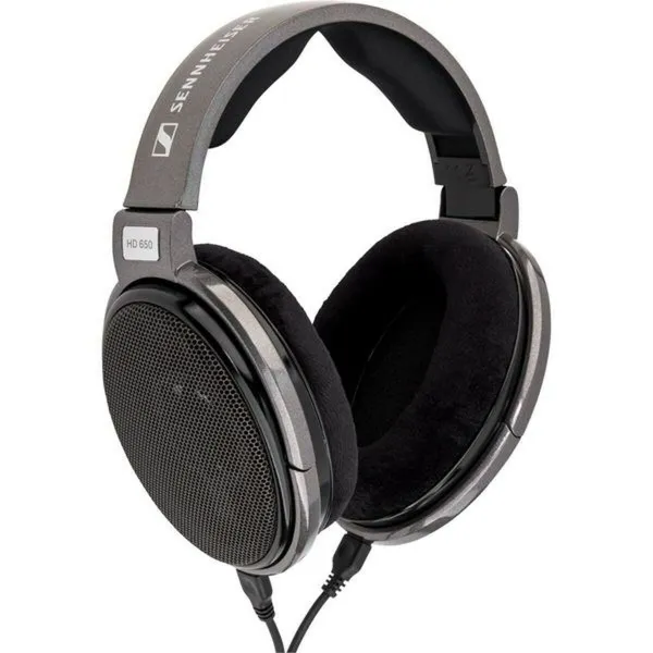 Uždaro tipo ausinės Sennheiser HD 650 Titanas
