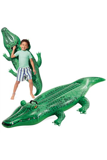 INTEX 58546 air mattress