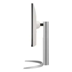 Lautassetti Algon Kertakäyttöinen Valkoinen Kartonki 26 cm (36 Osaa)