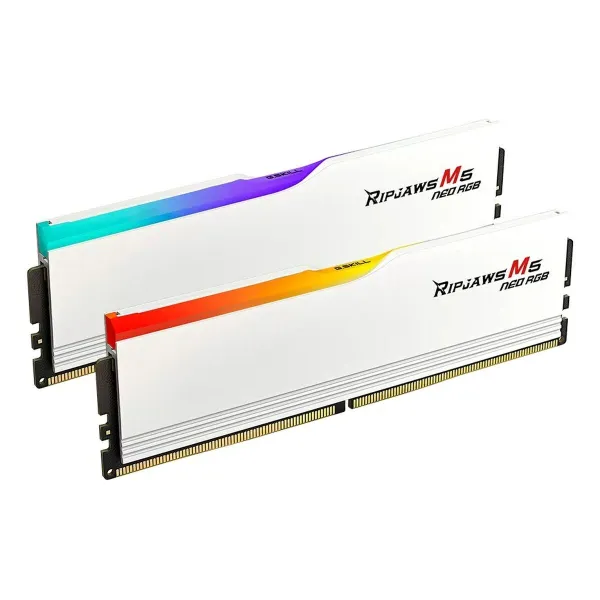 RAM Memory GSKILL F5-6000J3036F48GX2-RM5NRW 96 GB DDR5 cl30