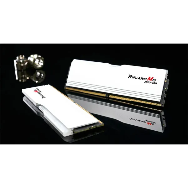RAM Memory GSKILL F5-6000J3036F48GX2-RM5NRW 96 GB DDR5 cl30