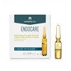 Endocare Ampoules 7 X1ml