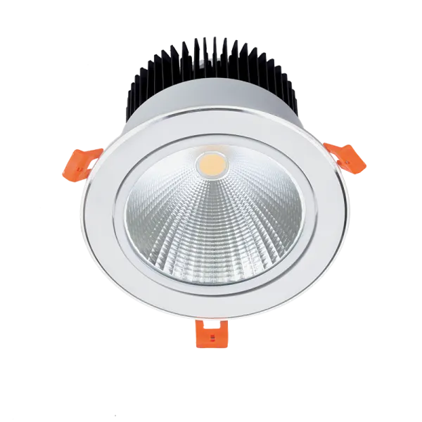 LED įleidžiamas šviestuvas RDL60COB 20W 230V 2700K 60° baltas
