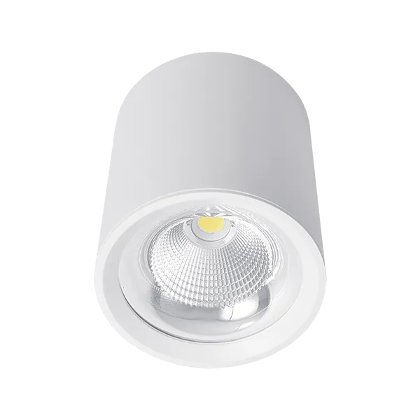 FLCOM LED griestu apgaismojums, montējams uz virsmas, 10W, 230V, 4000K, 60°, balts