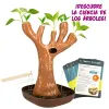 Science Game Lisciani Giochi Botánica ES (6 Units)