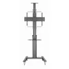 Lauatugi Ekraanile GEMBIRD TVS-70T-02 70" 37"