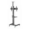 Lauatugi Ekraanile GEMBIRD TVS-70T-02 70" 37"