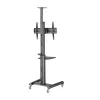 Lauatugi Ekraanile GEMBIRD TVS-70T-02 70" 37"