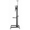 Lauatugi Ekraanile GEMBIRD TVS-70T-02 70" 37"