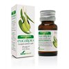 Soria Esencia De Eucalipto 15ml