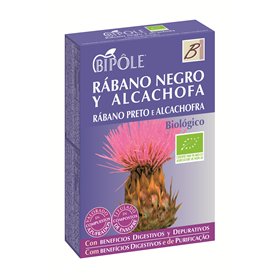 Intersa Bipole Rabano Negro-Alcachofa