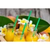 Reusable Drinking Straw Algon Plastic 19,5 cm 6 mm 30 Pieces 24 Units