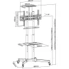 TV Statīvs Techly ICA-TR16T 70" 50 kg