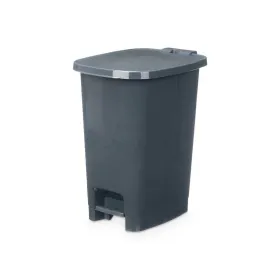 Pedal bin Anthracite Plastic 25 L (6 Units)