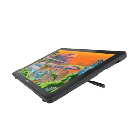Graafikalauad ja pliiatsid Huion GS2202