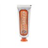 Marvis Ginger Mint Toothpaste 25ml