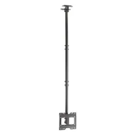 TV laikiklis Aisens CT43TSE-053 23-42" 50 kg
