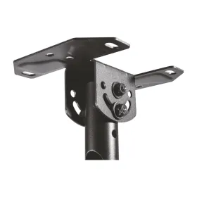 TV laikiklis Aisens CT43TSE-053 23-42" 50 kg