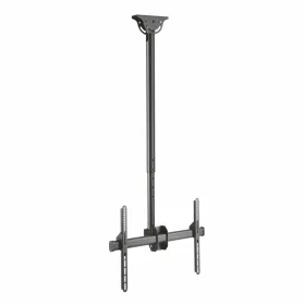 Lubų TV laikiklis Aisens CT70TSLE-033 50 kg