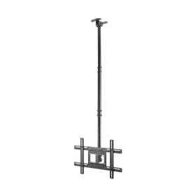 TV-teline Aisens CT80TSE-075 37"-80" 50 kg