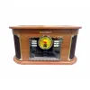 Levysoitin Sunstech PXRC52CDWD Ruskea Puu