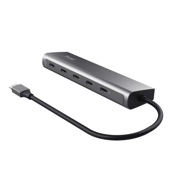 USB Centrmezgls Trust 25136 Sudrabains (1 gb.)