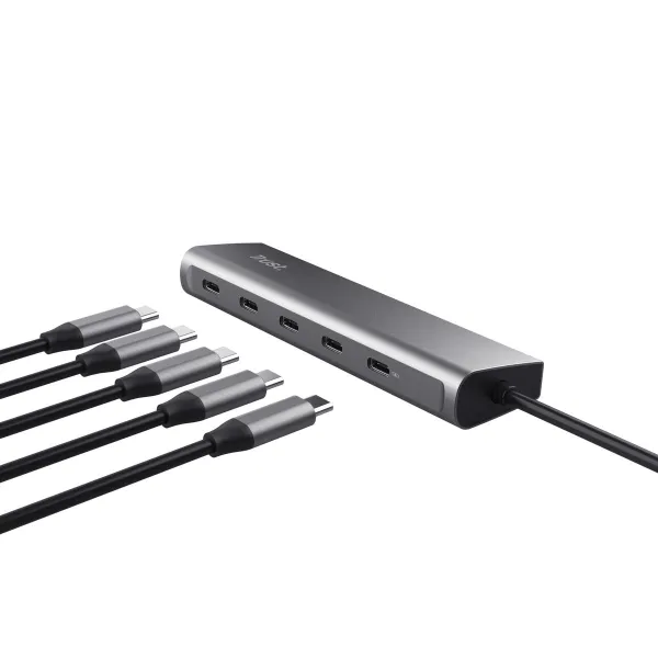 USB Centrmezgls Trust 25136 Sudrabains (1 gb.)
