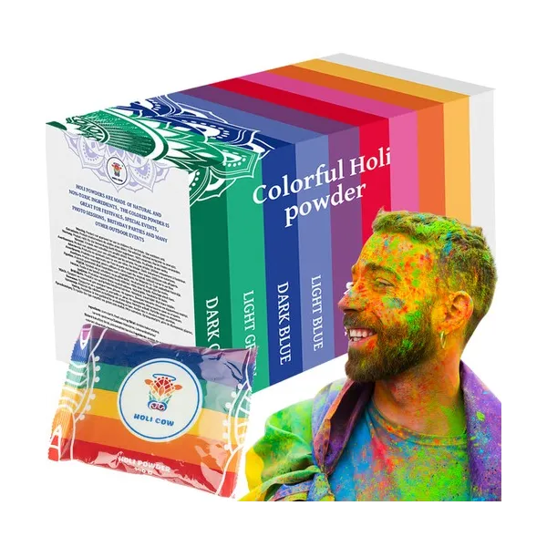 Holi Color Powder - Set of 10x100g