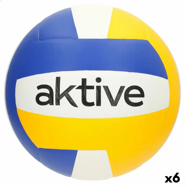 Võrkpalli Pall Aktive