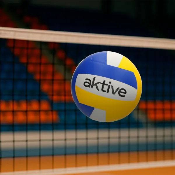 Võrkpalli Pall Aktive