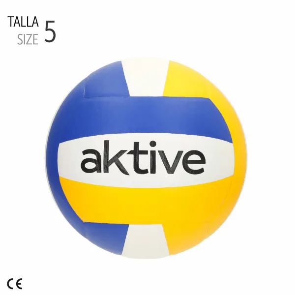 Lentopallo Aktive