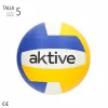 Lentopallo Aktive