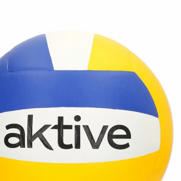 Võrkpalli Pall Aktive