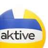 Volleyball Ball Aktive